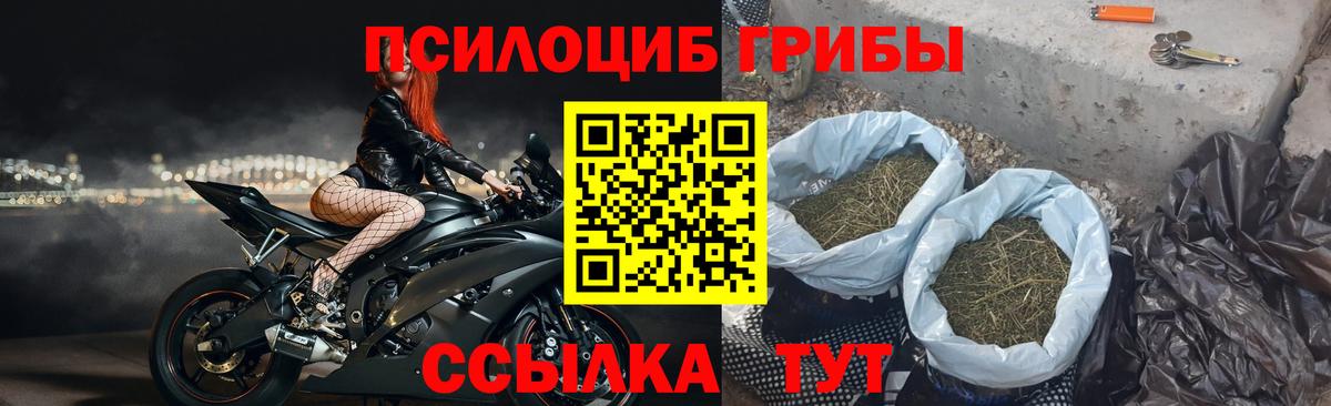 дарнет шоп  Галлюциногенные грибы MAGIC MUSHROOMS  Вход с VPN  Псилоцибиновые грибы GOLDEN TEACHER  Чусовой 
